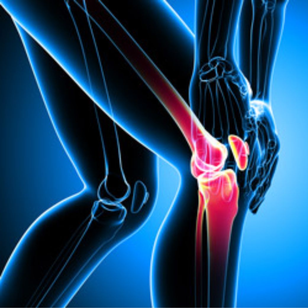 bone-e-joint-helth.jpg