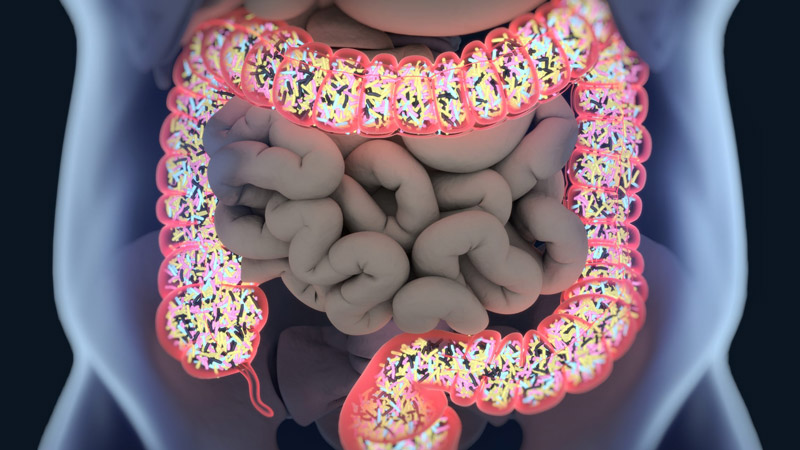 digestive2.jpg